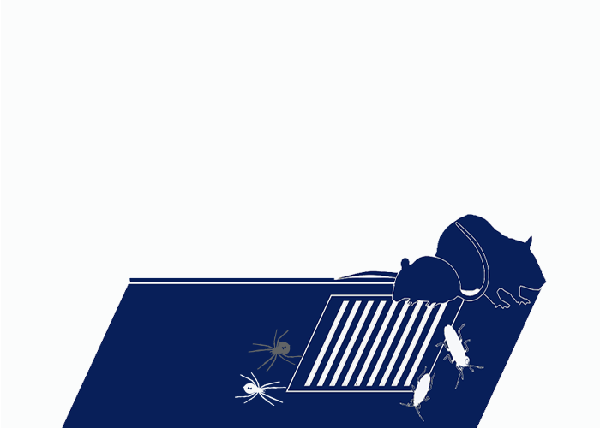 nebulizacion interplag coladera drenaje