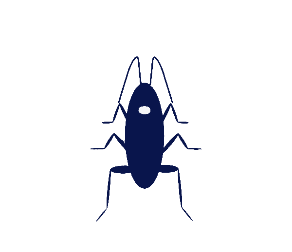 cucaracha fumigacion, desinsectizacion