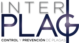 logo contacto interplag
